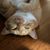 Suzanne Sheldon's profile image