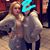 Kaitlyn Marie's profile image