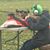 David Brown's profile image