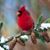 Tamara McKinlay-Scott's profile image