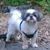 Vicki O'Brien's profile image