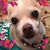 Gail Robinson's profile image
