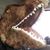 Jason Rouch's profile image