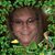Laura Pickard Glenn's profile image