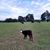 Harlon Alford's profile image