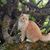 Marsha Rae Brunelle's profile image