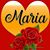 Maria Yvellit Caraballo Lopez's profile image