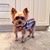 Alice D'Avolio Catalano's profile image