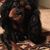 Kimberly Bryan Melton's profile image