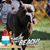 Shelley Patterson Messer's profile image