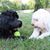 Diane Stasiek's profile image