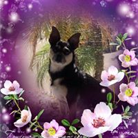 Blocker S Furniture Reviews Home Decor At 2402 Sw College Rd