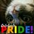 Joan Holycross-Otto's profile image