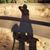 Pamela Grantham Hart's profile image