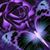 Tracey Bishop's profile image
