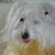 Marlene Tenzler's profile image