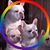 Martha Tolkien's profile image
