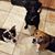 Diane Schafer's profile image