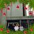 Joanie Carole Jordan Collins's profile image