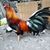 Panchito de Santiago's profile image