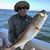 Dave Oschman's profile image