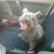 Courtney Murray DeWitte's profile image