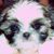 Marian Rodriguez's profile image