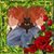 Eric Cohen's profile image