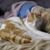 Susan Britt's profile image