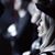 Tracy Paxton's profile image