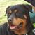 Rachel Alvarez's profile image