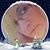 Rhonda Miller Stump's profile image