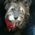 Chelsea Barkus's profile image