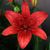 Becky Chipman's profile image