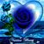 Barb B Mahoney's profile image