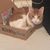 Dawn Magowan's profile image