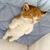 Valeria Ehlers's profile image