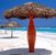 Tracy Wilbourn's profile image