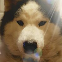 Kristopher Long's profile image