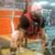Allen Pilley's profile image