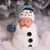 Susan McKelvey Braden's profile image