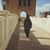 Samah Masoud's profile image