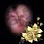 Tony Ray Patton's profile image