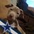 Christopher Khater's profile image