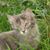 Kellie Thommes's profile image