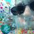 Daniella Kay Bucur's profile image