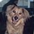 Debi Ann's profile image