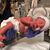 Cyndi Farrell's profile image