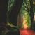 Mary Dinneen's profile image
