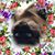 Rita Gardiner's profile image